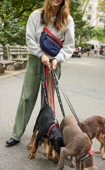 Model wearing the CV x The Dogist Grande Fanny Sportif as a crossbody while walking three dogs using an assortment of Clare V. x The Dogist leashes. 