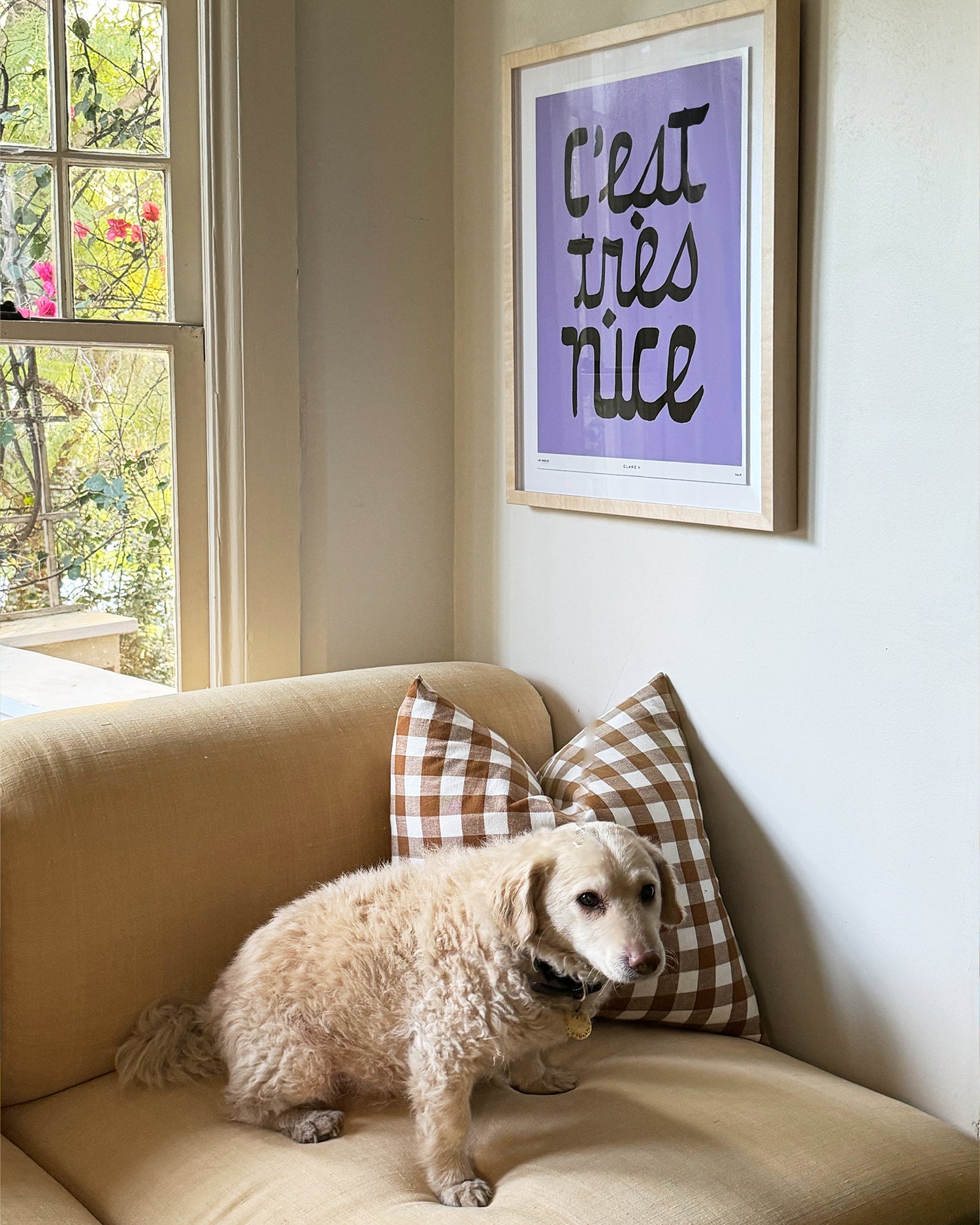 Clare V. x Framebridge C'est tres nice frame in a living room with Paco the dog sitting on the sofa.