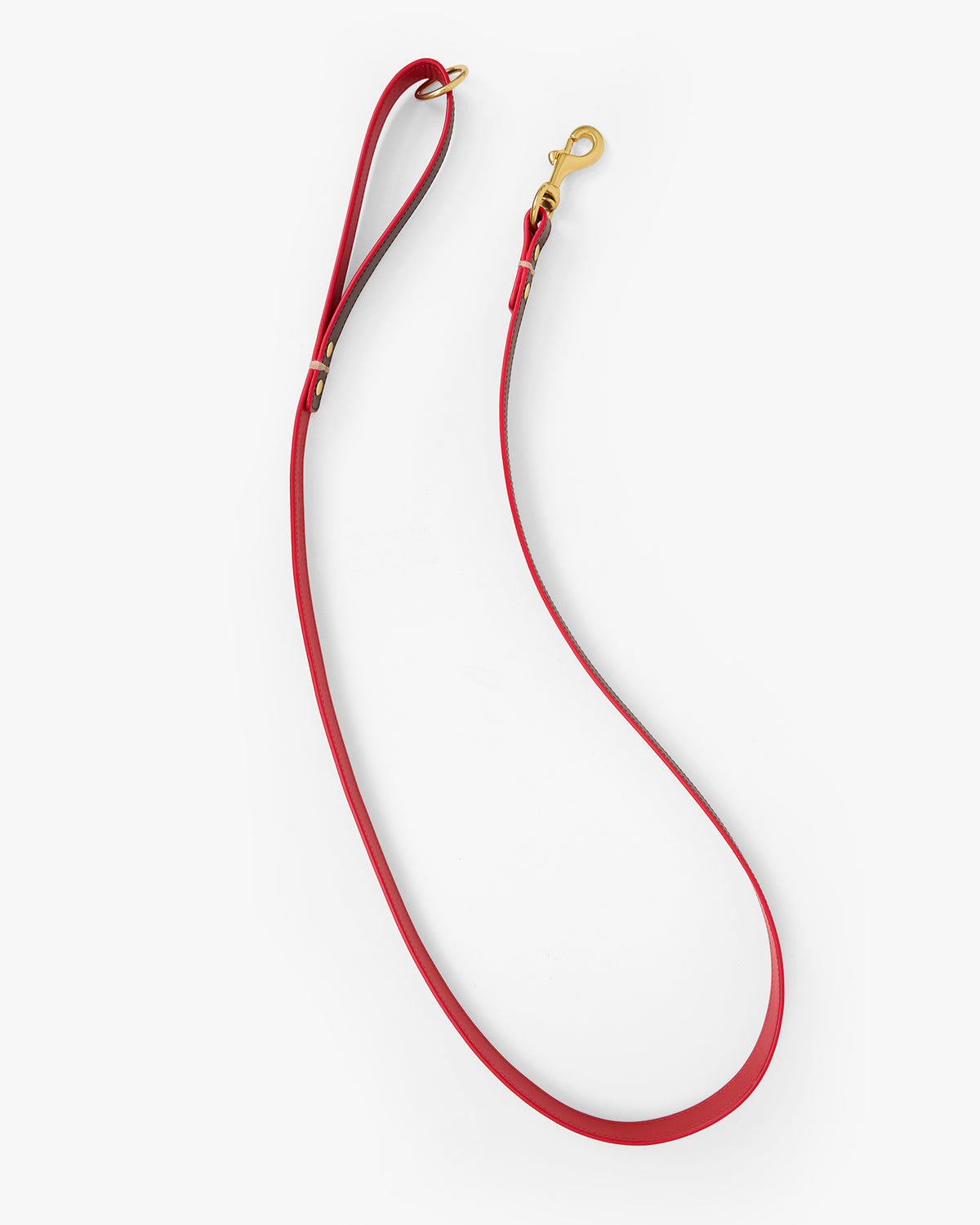 Paco Leash flat view