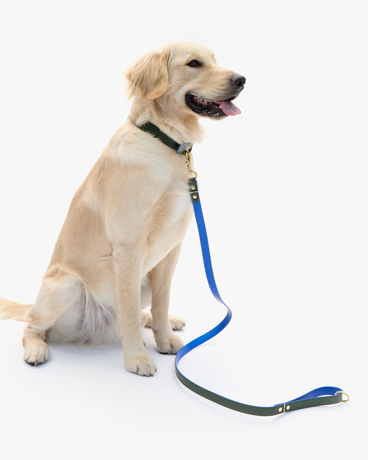 Paco Leash with collar