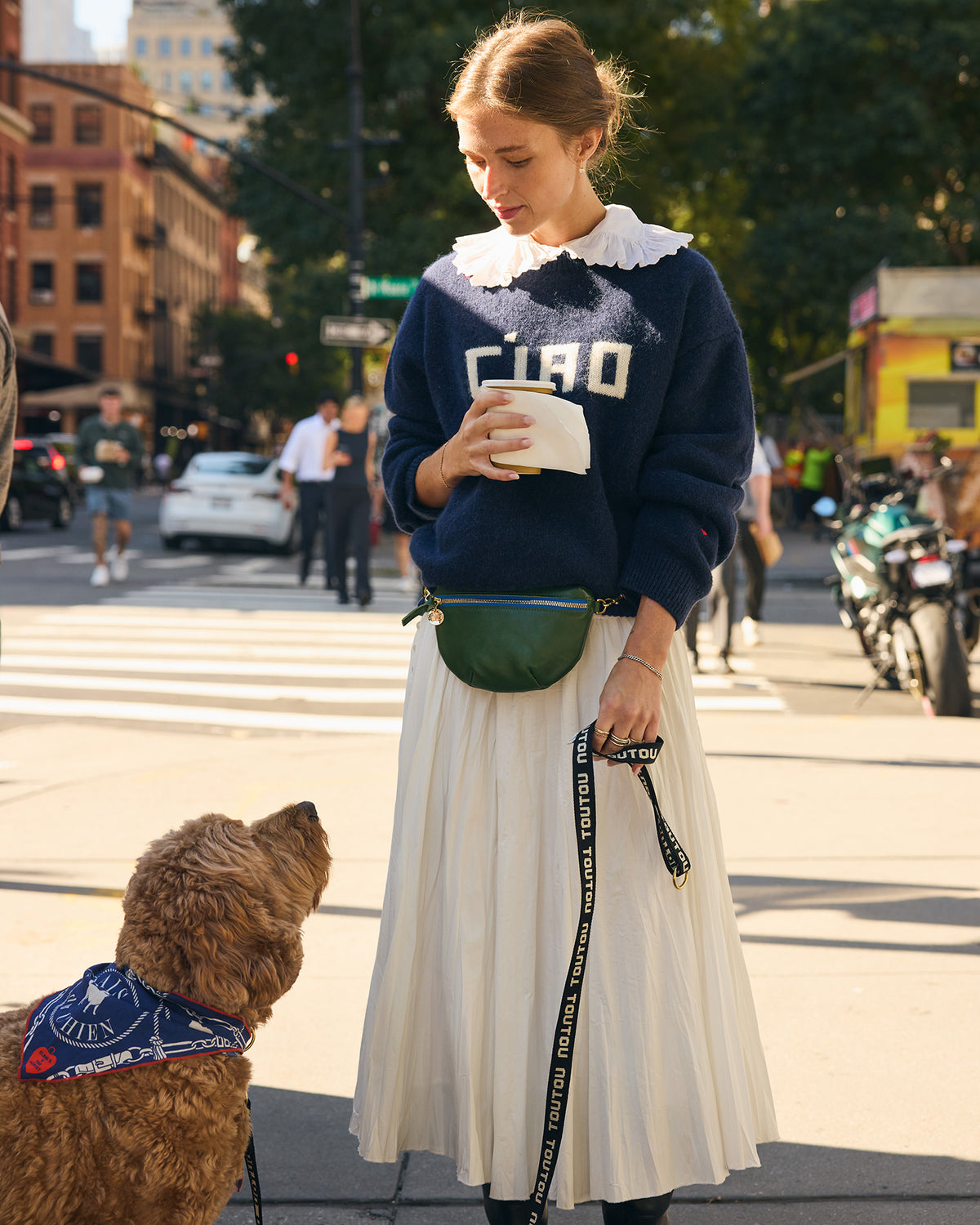 Elsa Leash on dog outside