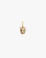 Whiskers Charm