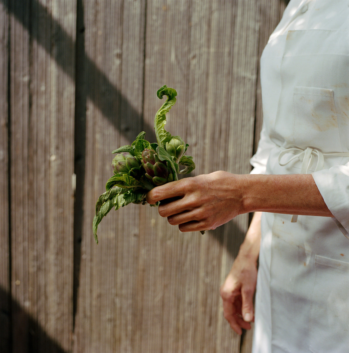 A Visit To Chez Panisse With Amanda Marsalis