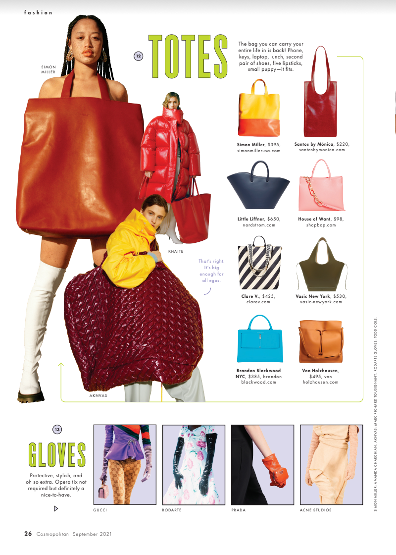 Goyard Hardy PM Bag, Women's Fashion, Bags & Wallets, Tote Bags on Carousell