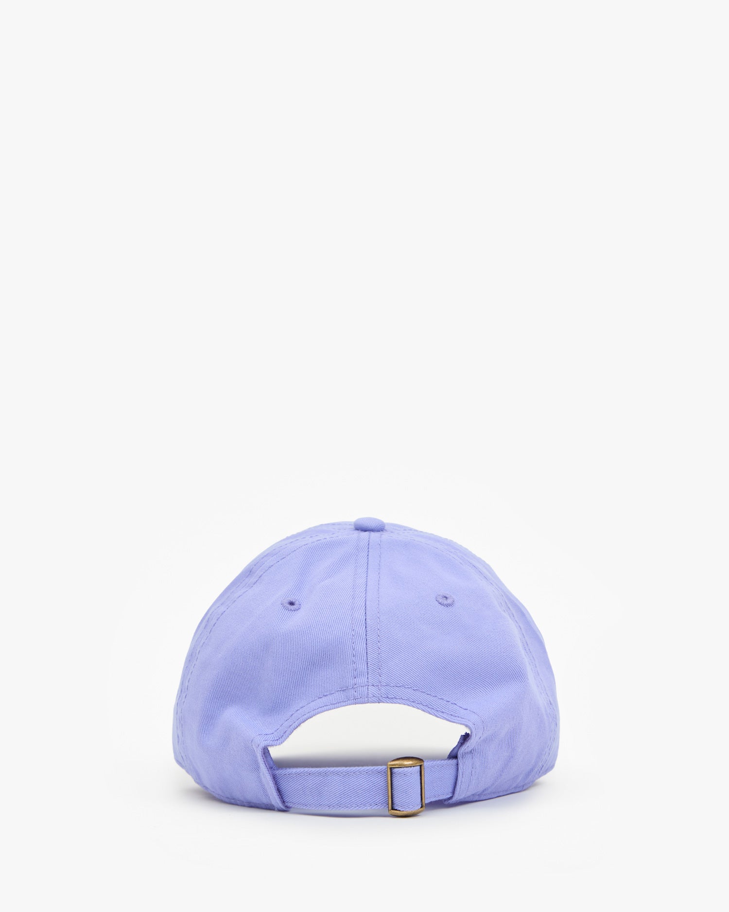Baseball Hat back view