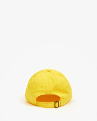 Baseball Hat back view
