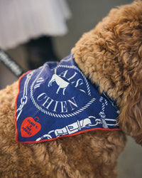 Dog Bandana on dog close up