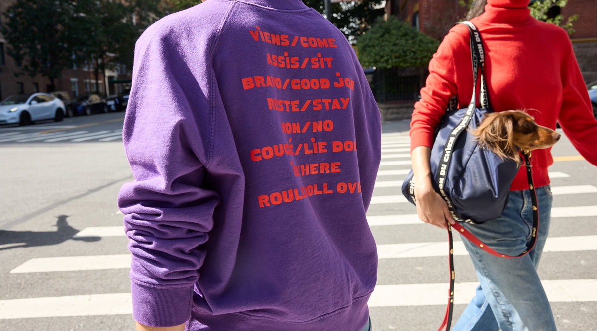 Close-up of someone wearing the Royal Purple CV x The Dogist Le Court Sweatshirt while a woman walks by carrying a small dog inside of the CV x The Dogist Le Box Tote Sportif. 