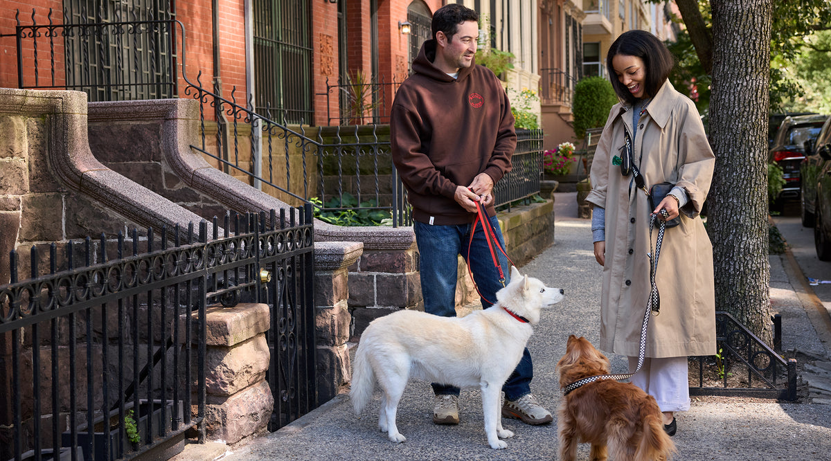 Elias Weiss Friedman and model walking two dogs and carrying CV x The Dogist products. 