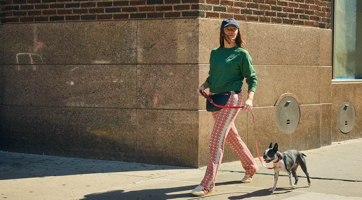 Model wearing that CV x The Dogist Grande Fanny, Sweatshirt, and hat and walking a Boston Terrier with the CV x The Dogist leash.