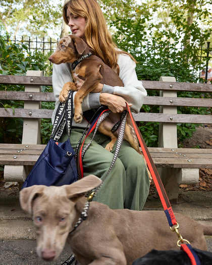 Model sitting on a bench and carrying a puppy on her lap while holding on to two other ones with her CV x The Dogist leashes. 