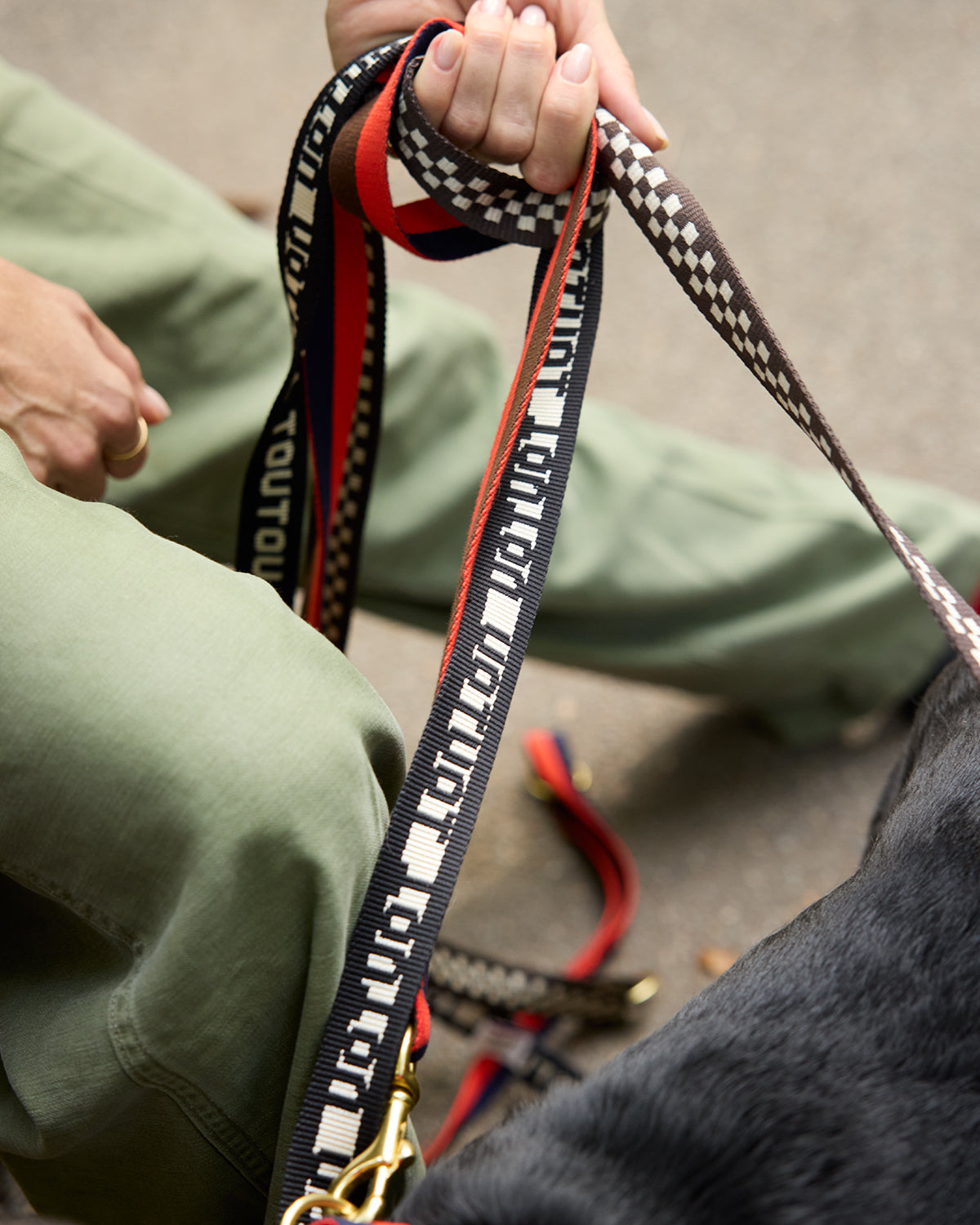 A close-up lifestyle shot of a person holding Clare V. x The Dogist dog leashes with a dog in the foreground. 