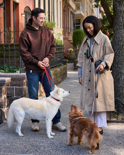CV x The Dogist