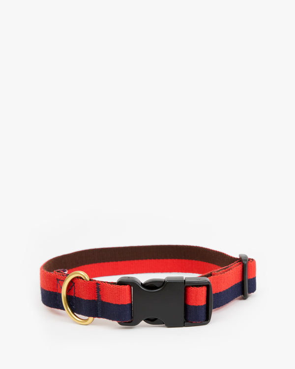 Elsa Collar image 1