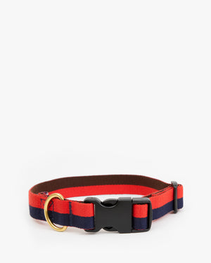 Elsa Collar
