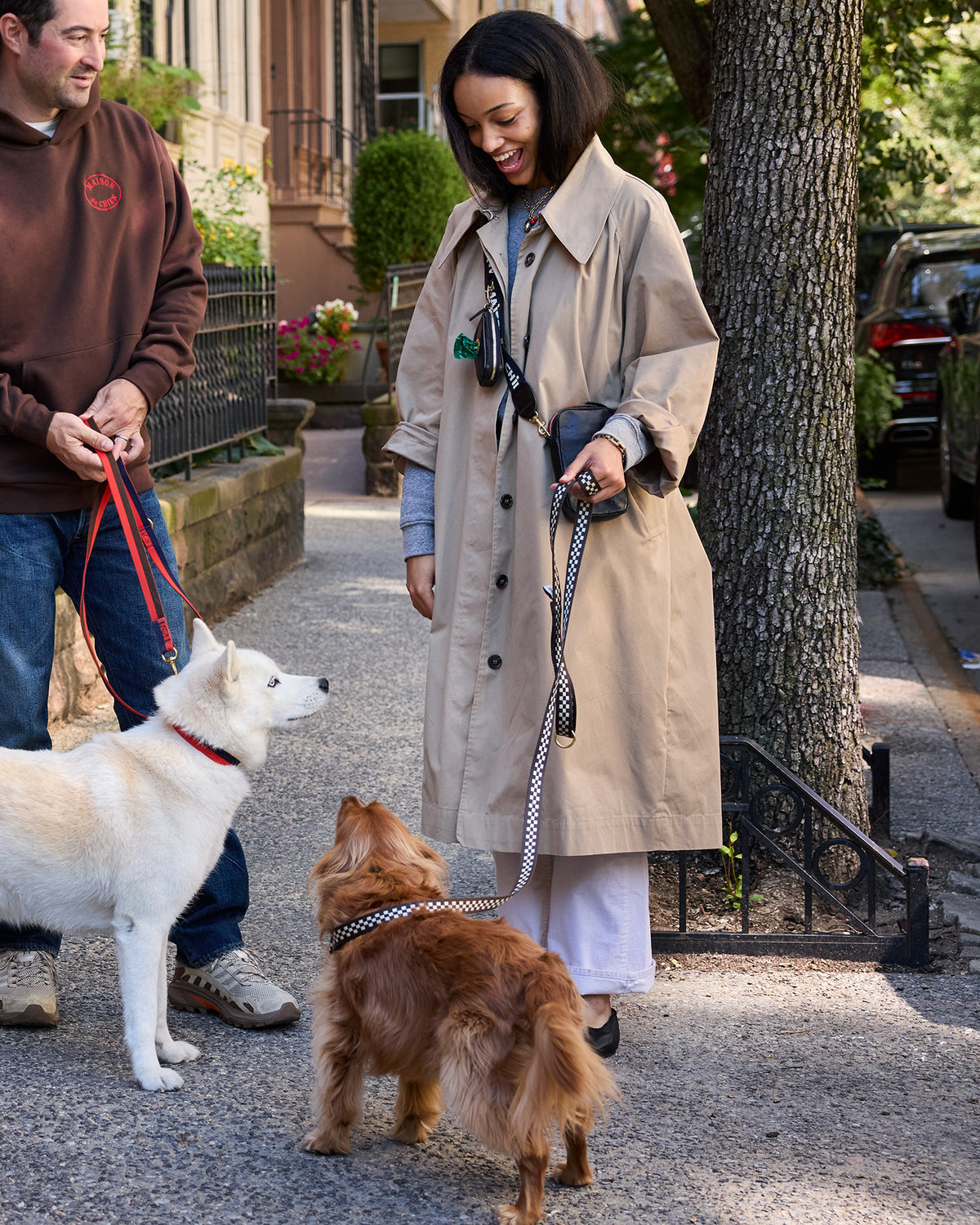 Elsa Leash on dog outside