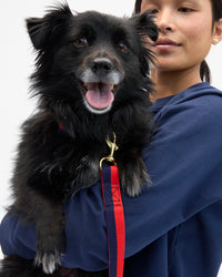 Maly holding dog with Elsa Leash