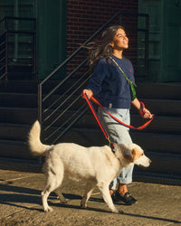 Elsa Leash on dog outside