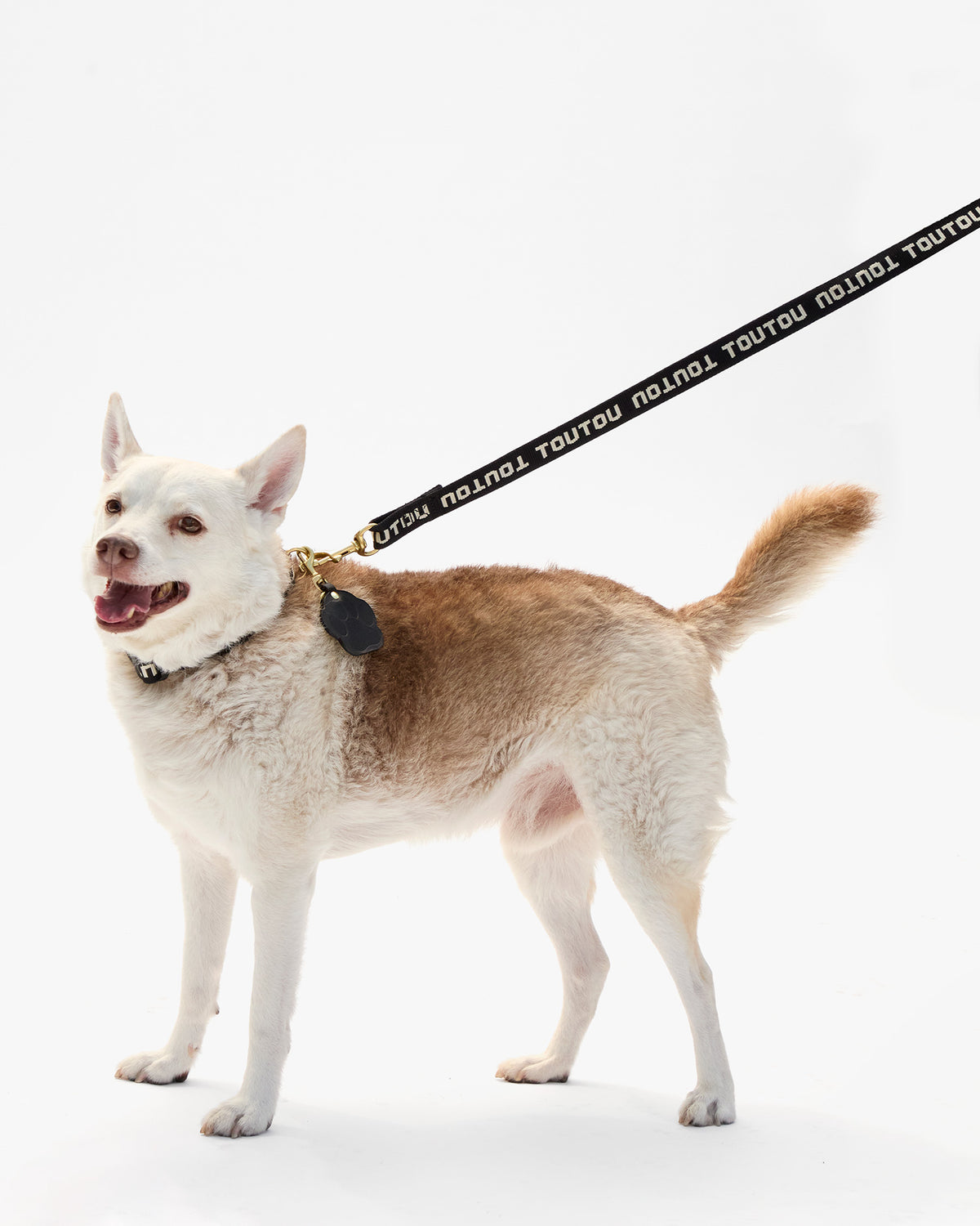 La Paw Keychain on dog leash