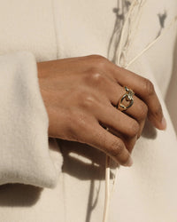 Link Column Ring on model