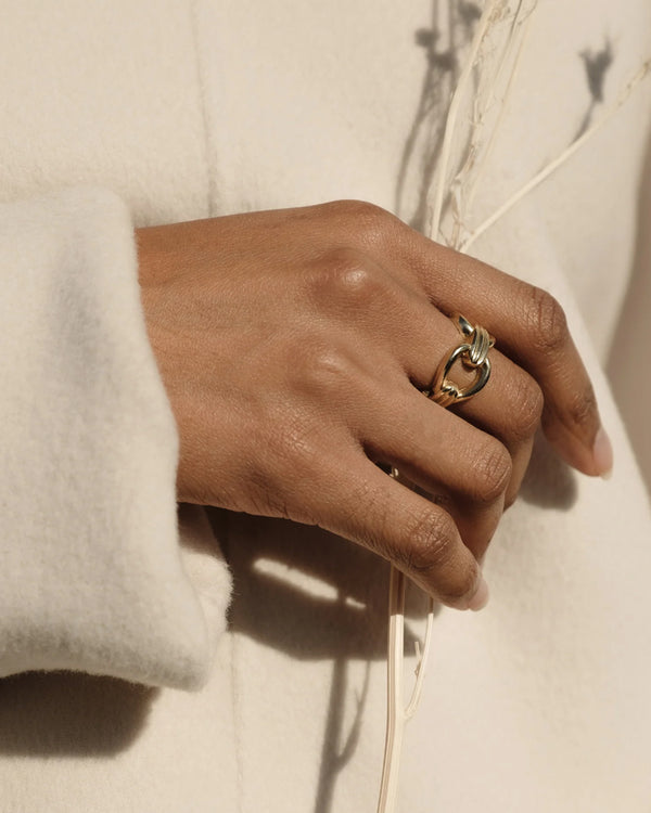 Link Column Ring on model