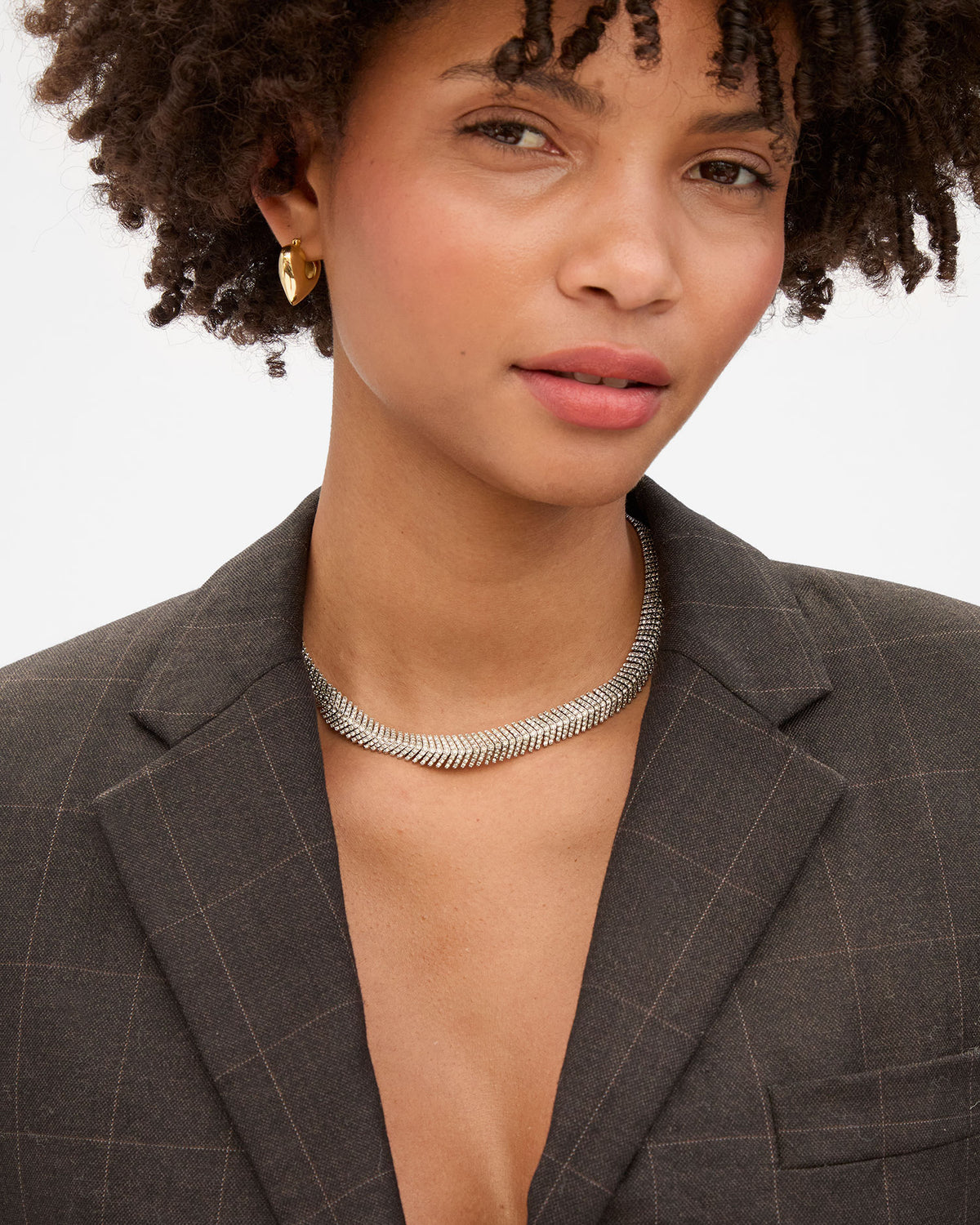Herringbone Collar on Lenny