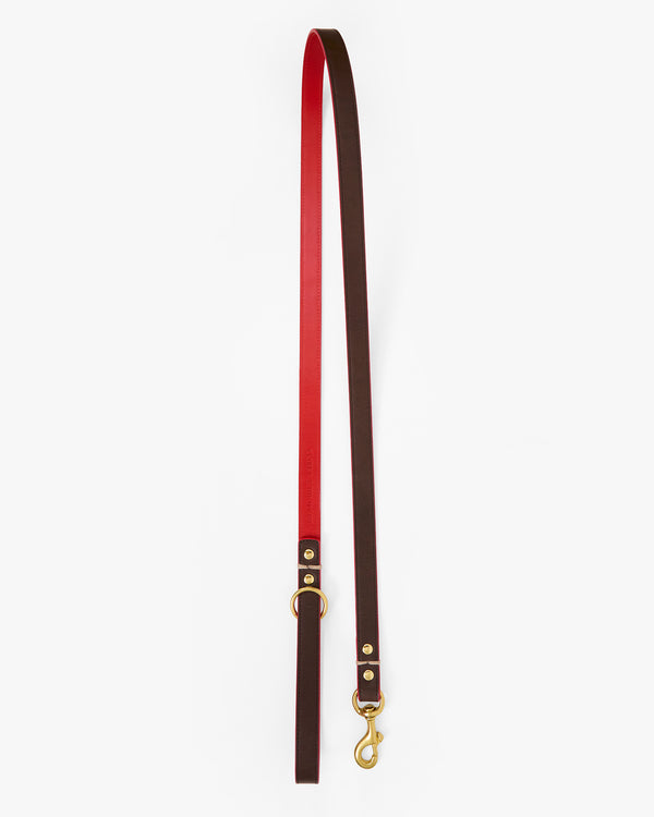 Paco Leash image 1