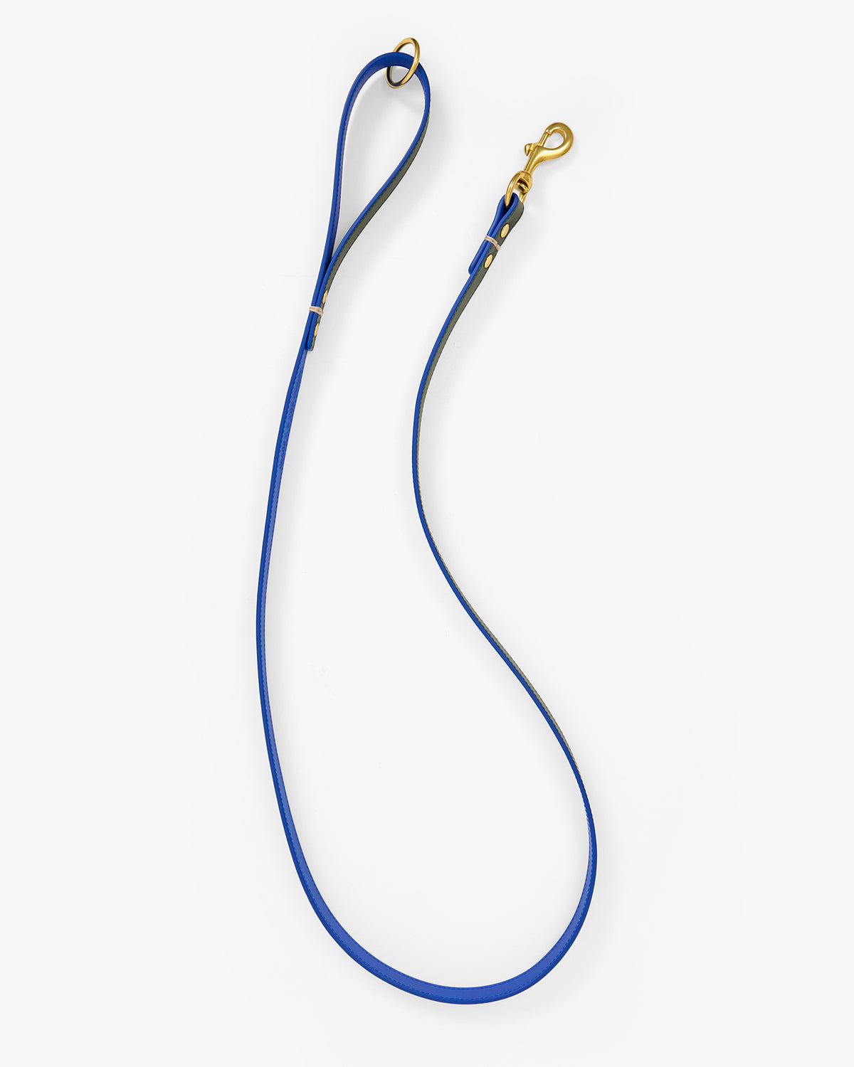 Paco Leash flat view