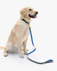Paco Leash with collar