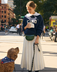 Dog Bandana with model