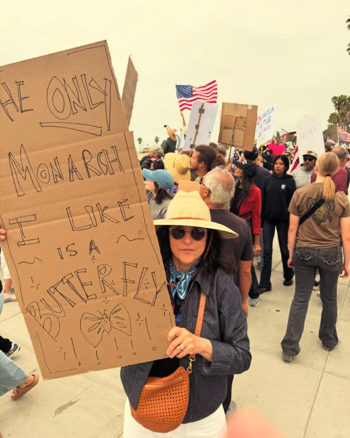 Julia Louis-Dreyfus carrying the Tan Rattan Grande Fanny while holding a sign that reads 'The only Monarch I like is a Butterfly'. 