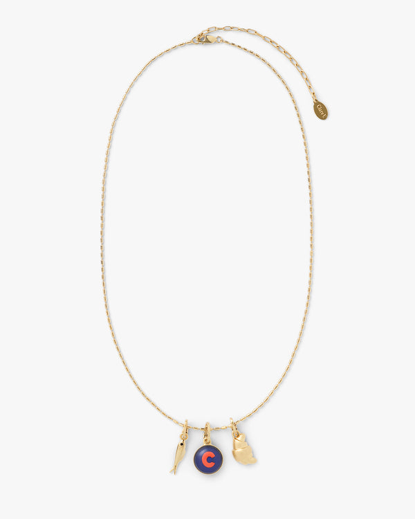 Sardine Charm on Barrel Chain Necklace