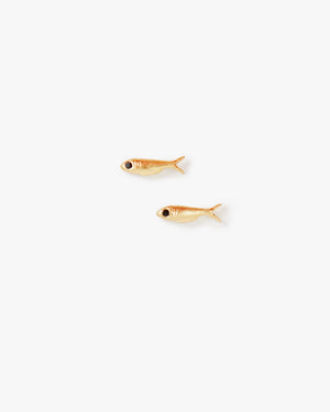 Sardine Stud Earrings