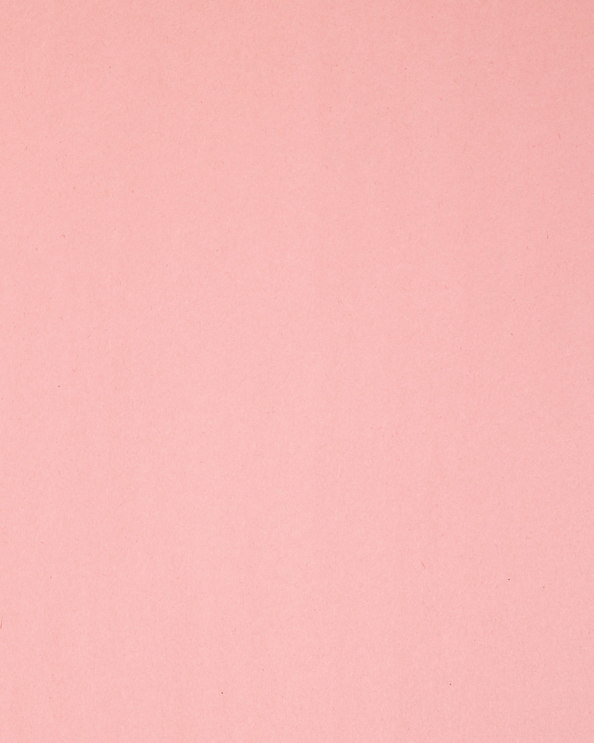 Decorative image of a light pink tile to serve as the background color of the text.