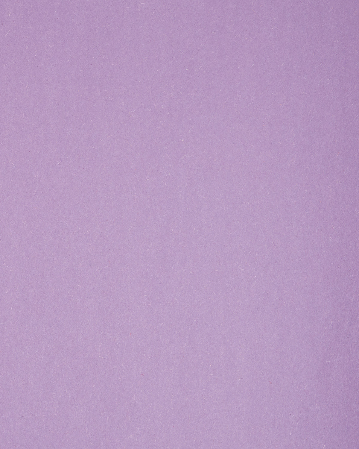 Decorative image of a lilac tile to serve as the background color of the text.