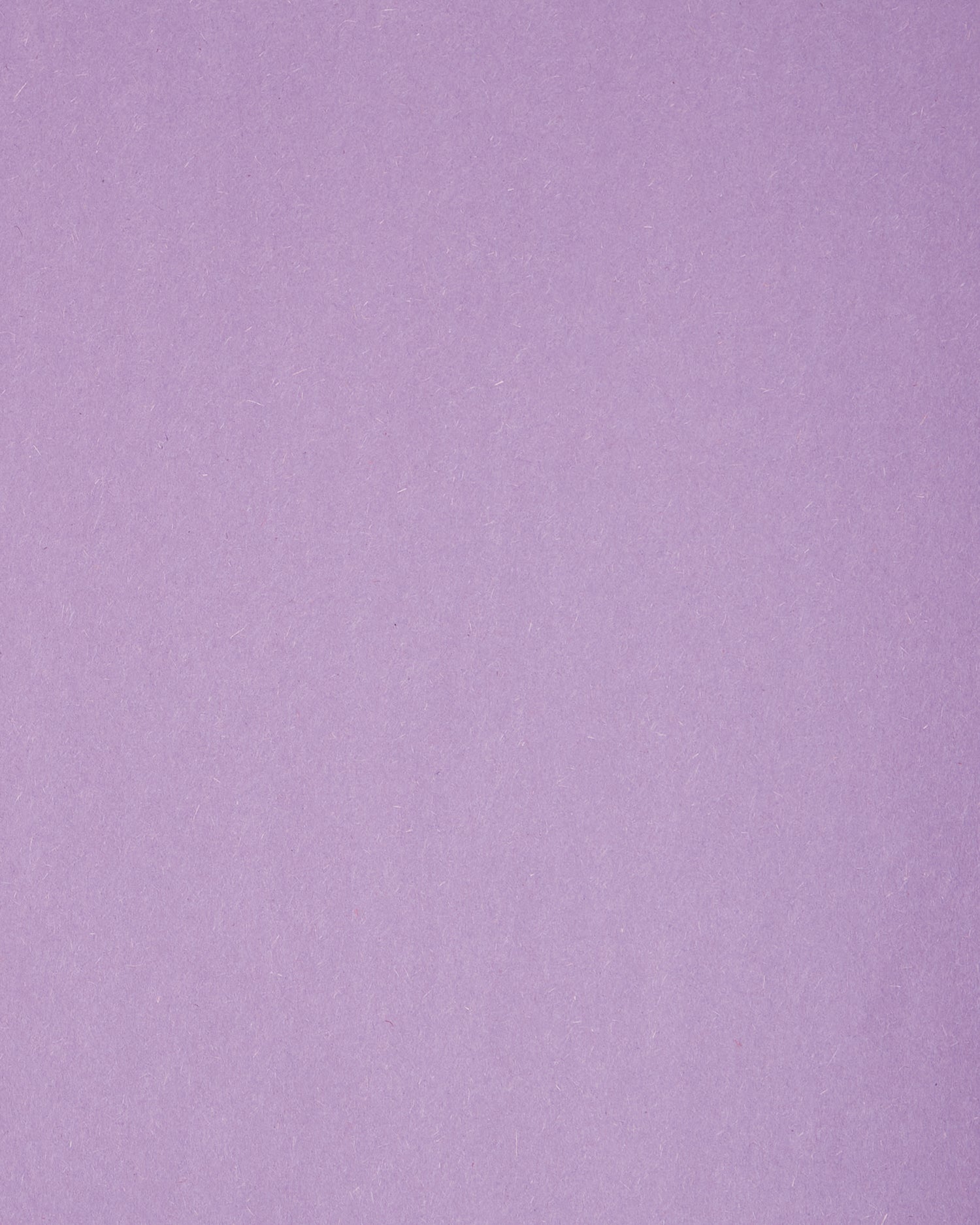 Decorative image of a lilac tile to serve as the background color of the text.