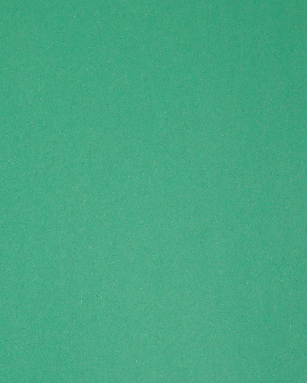 Decorative image of a green tile to serve as the background color of the text.