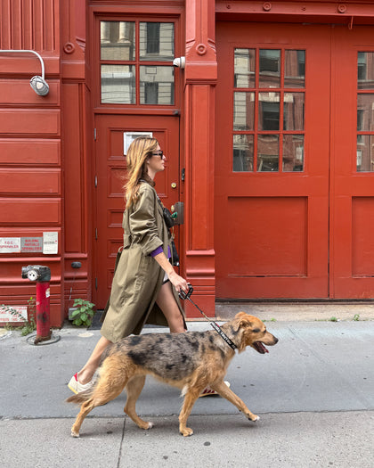 Woman walking her dog using the Clare V. x The Dogist leash and collar. 