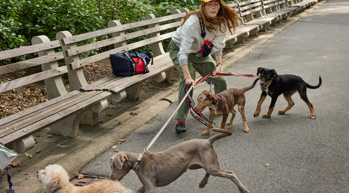 Model trying to control three very energetic dogs that appear to be puppies in a park using the CV x The Dogist leashes and collars. 