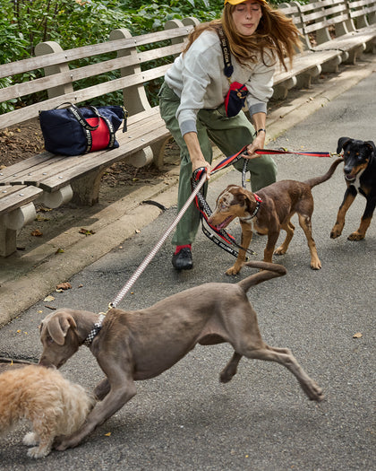 Model trying to control three very energetic dogs that appear to be puppies in a park using the CV x The Dogist leashes and collars. 