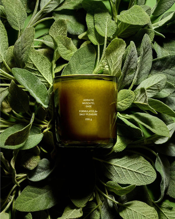 Flamingo Estate Adriatic Muscatel Sage Candle against sage leaves