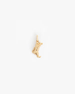 Jumping Tiger Charm