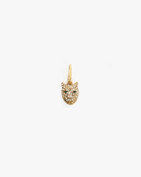 Whiskers Charm