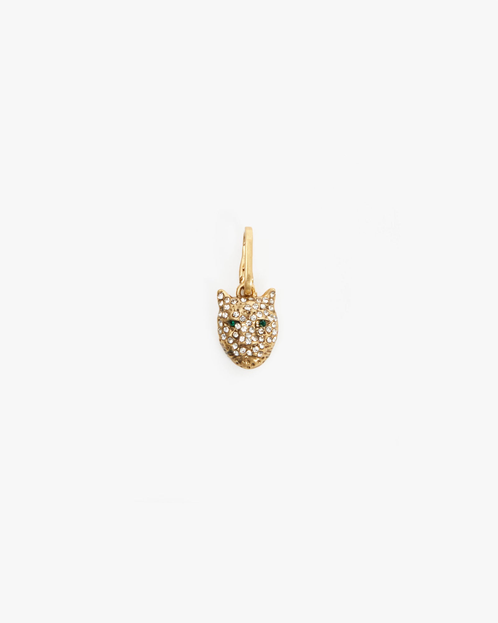 Whiskers Charm